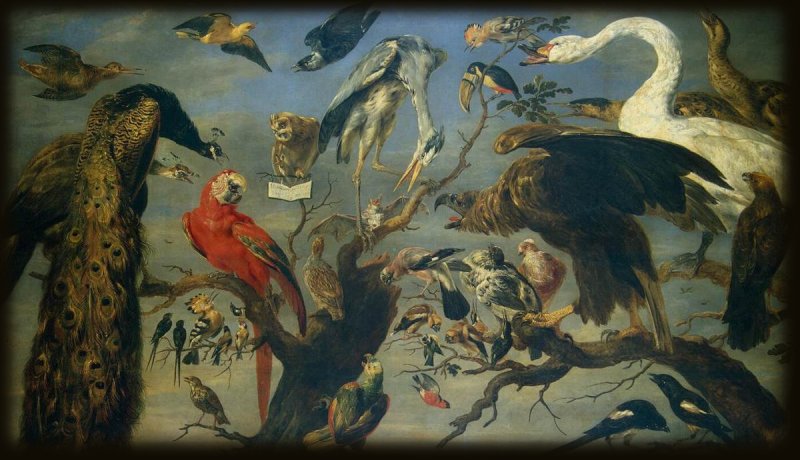 17th century painting: The Birds' Concert, by Frans Snyders, depicting many birds gathered in the upper branches of a tree