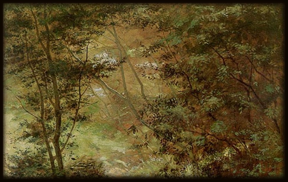 19th century painting of the Australian rain forest